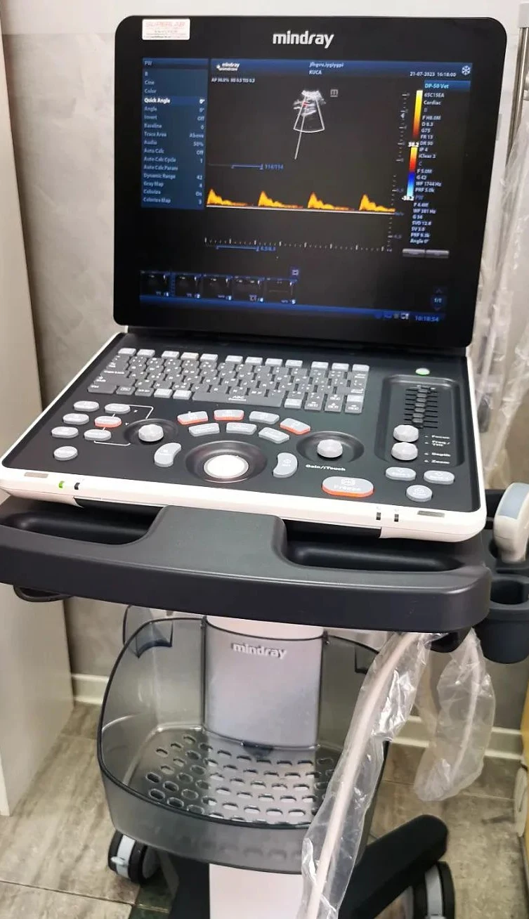 mindray DP-50 vet ultrasound veterinary animal care OB/GYN MSK Ortho and general