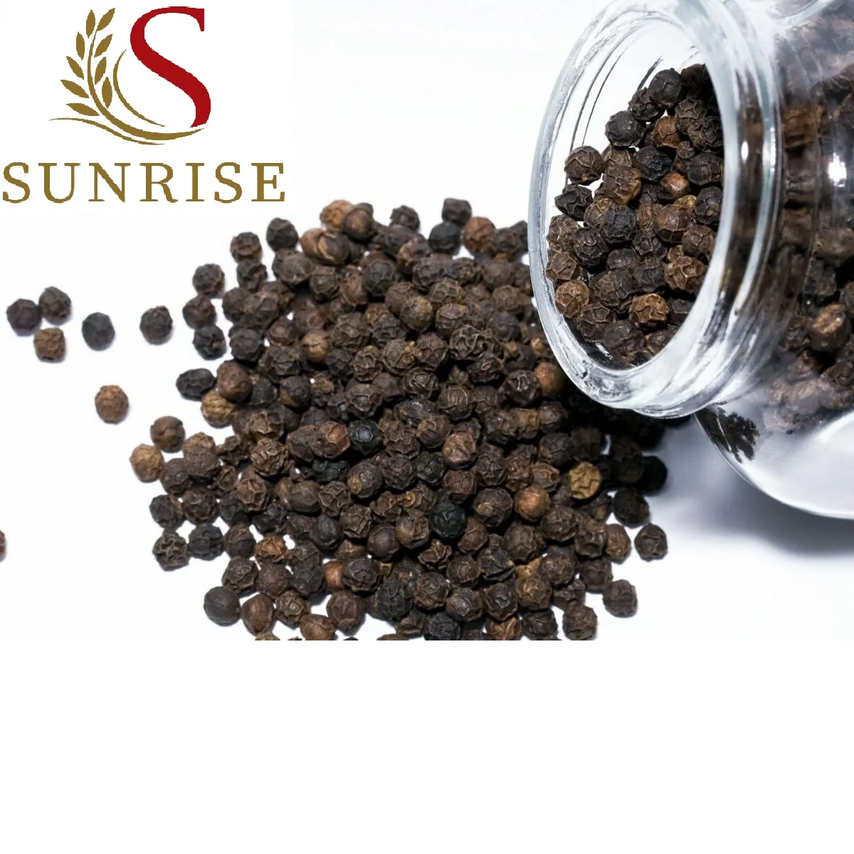 Seasoning High quality Hot Black pepper/ whole pepper powder from Vietnam- WHATSAP 0084 989 322 607