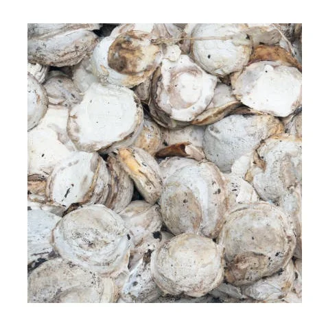 HIGH QUALITY NATURAL RUBBER CUP LUMPS WITH 62-72 % drc/Best Grade Rubber Cup Lump