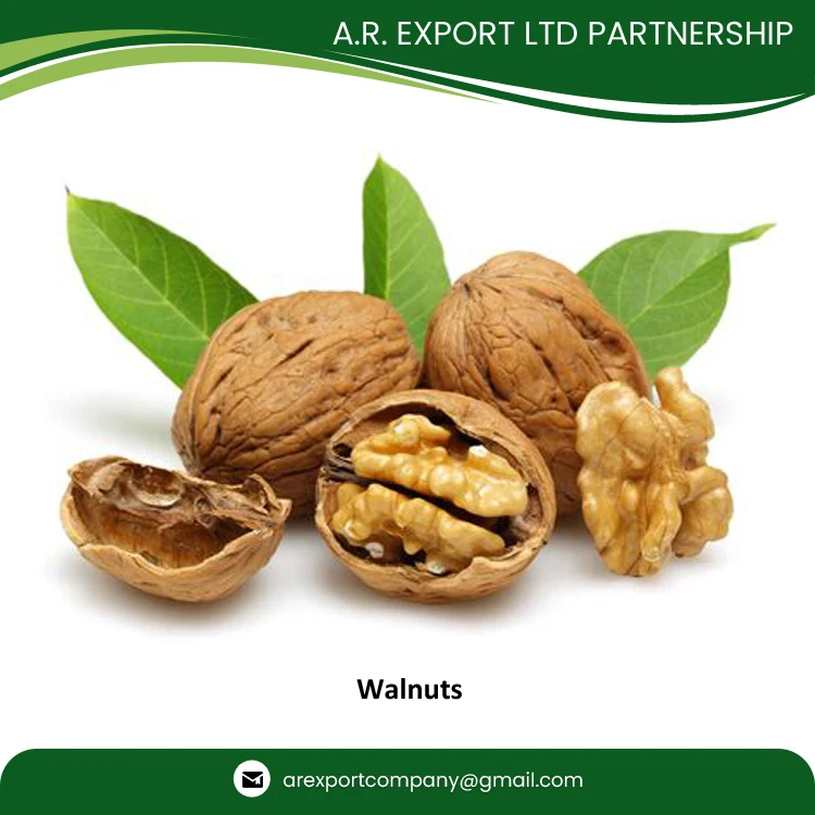 Factory Price Wholesale Traders Supply Top Quality Fresh and Natural Kernels Walnuts in Shell Dry Fruit for Wholesale Buyers
