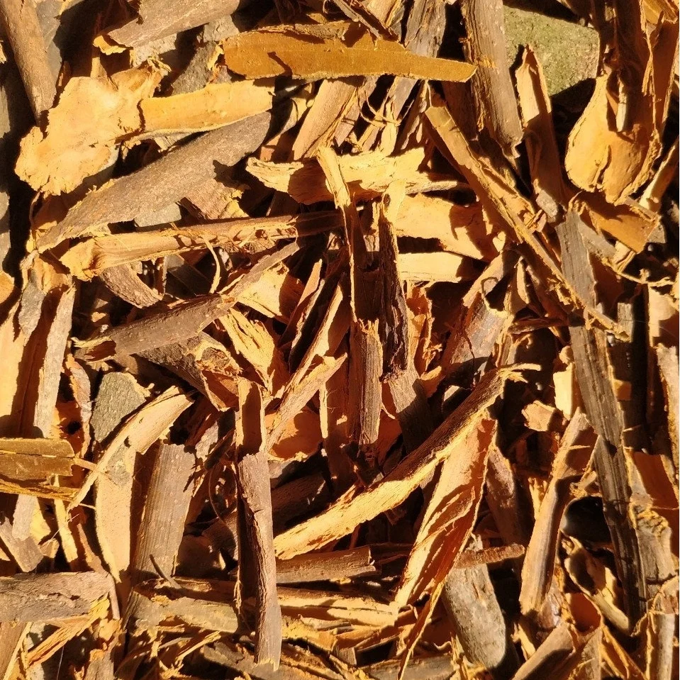 High quality cheap price of cassia broken/ broken cassia with skin for wholesale from Vietnam