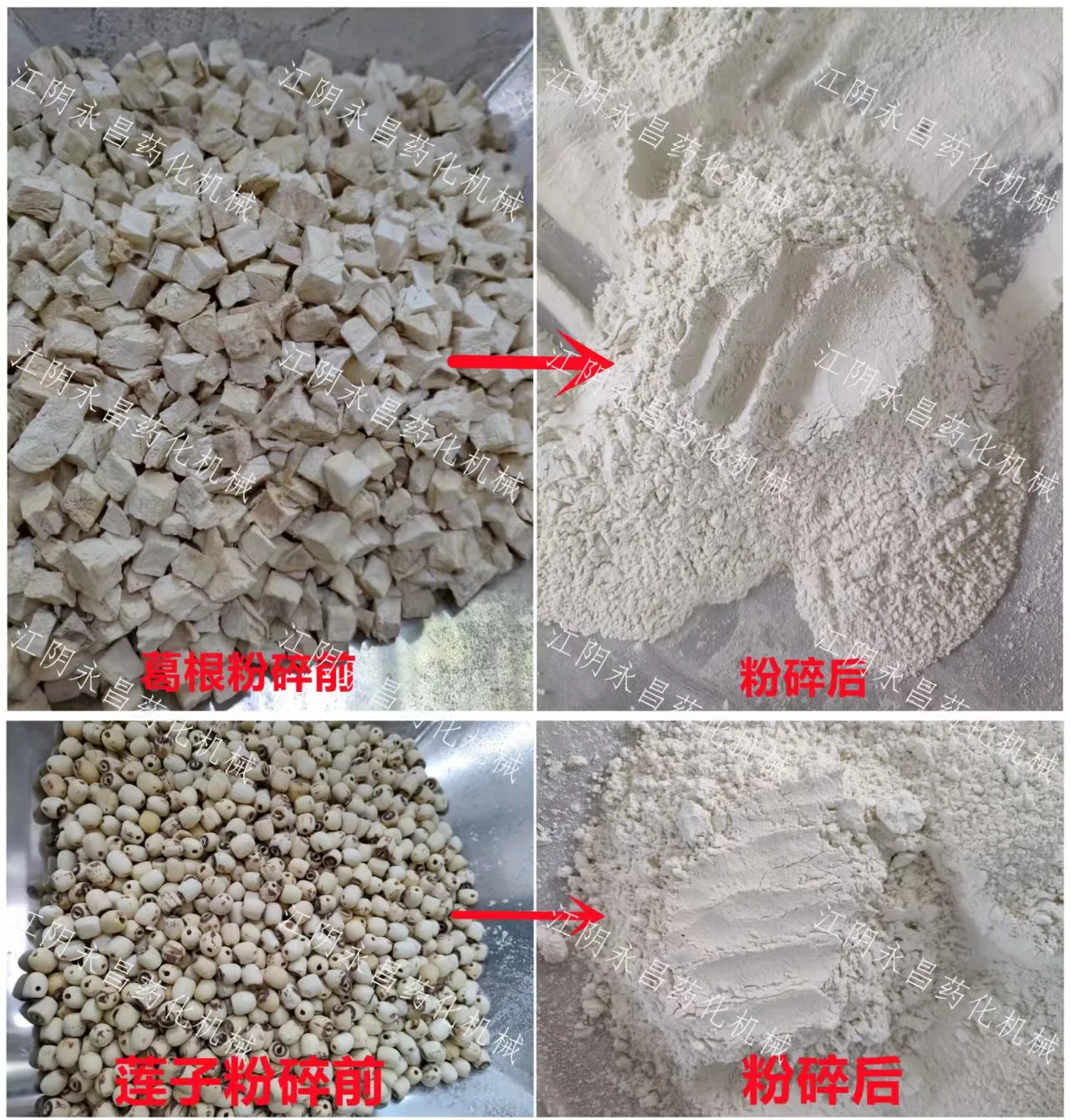 Chamomile Basil Leaves mixture grinding machine for food