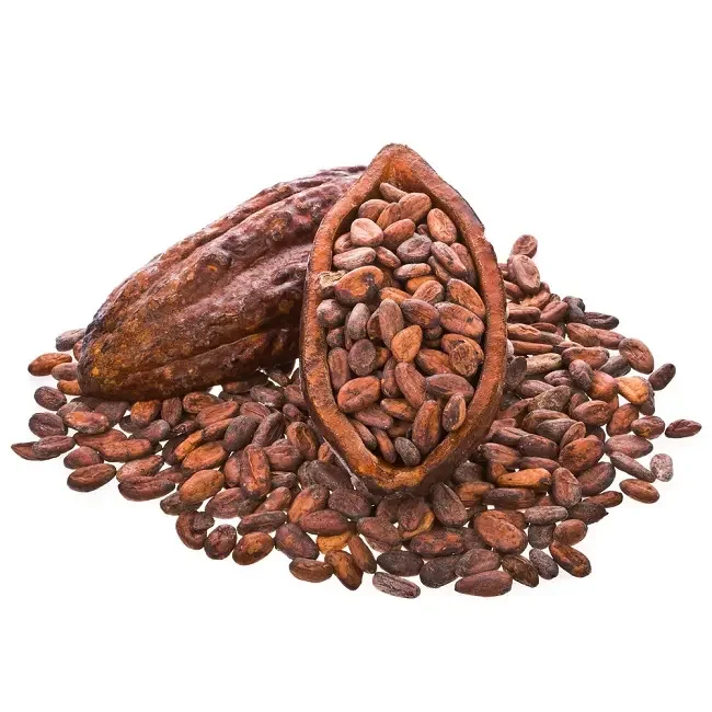 High Grade Organic Peruvian Hot Sale Cheap Bulk Natural Fermented and Dried Cacao Cocoa Beans