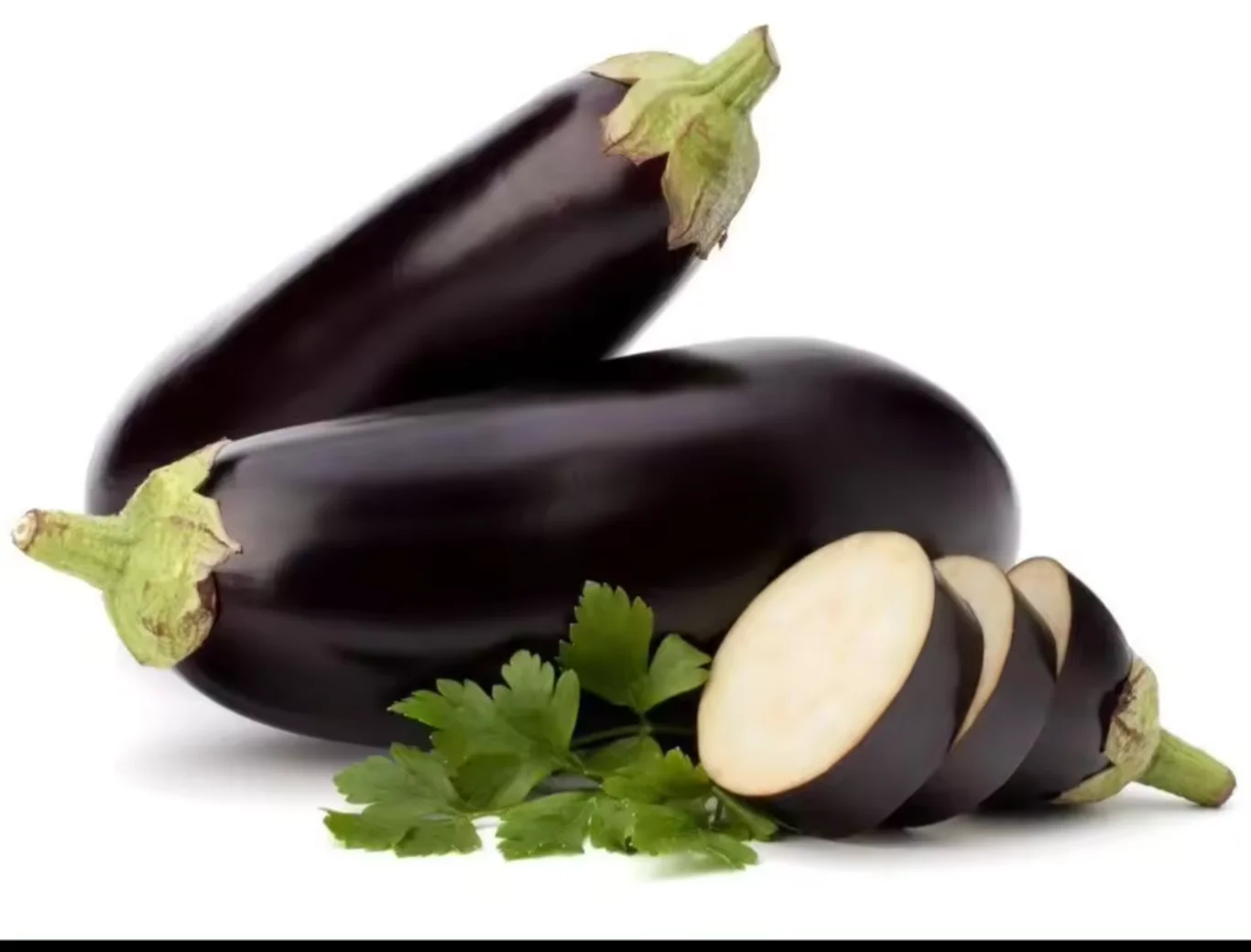 Wholesale Fresh Purple Eggplant
