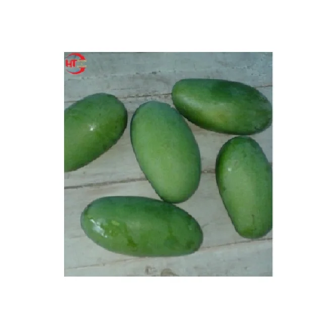 Export Quality Organic Crop Cultivation Oval Shape Green Fresh Fruit Unripe Maturity Taiwanese Mango With Natural Sour Taste