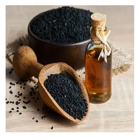 Export Quality Minimum 10% Thymoquinone Kalonji or Black Cumin Seed Oil Essential Oil at Best Price from India
