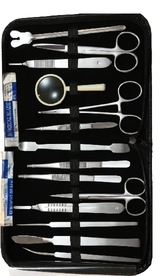 Set of 13 Pieces Basic Surgical Forceps Scissors Needle Holder Kit Stainless Steel Box Instruments