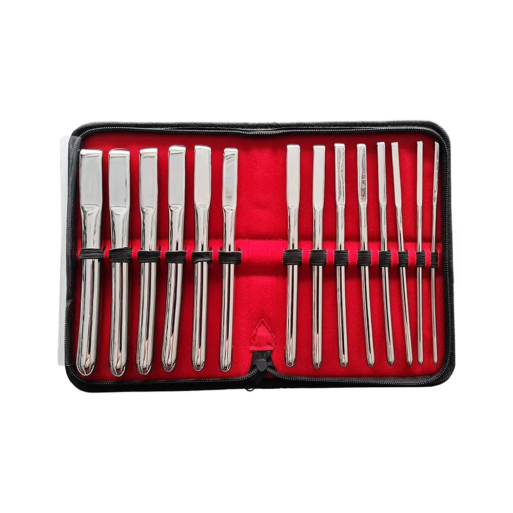 Hot Sale Dilator Set 14 Pcs with Carrying Case - Premium Stainless Steel Vaginal Dilators for Medical and Educational Use
