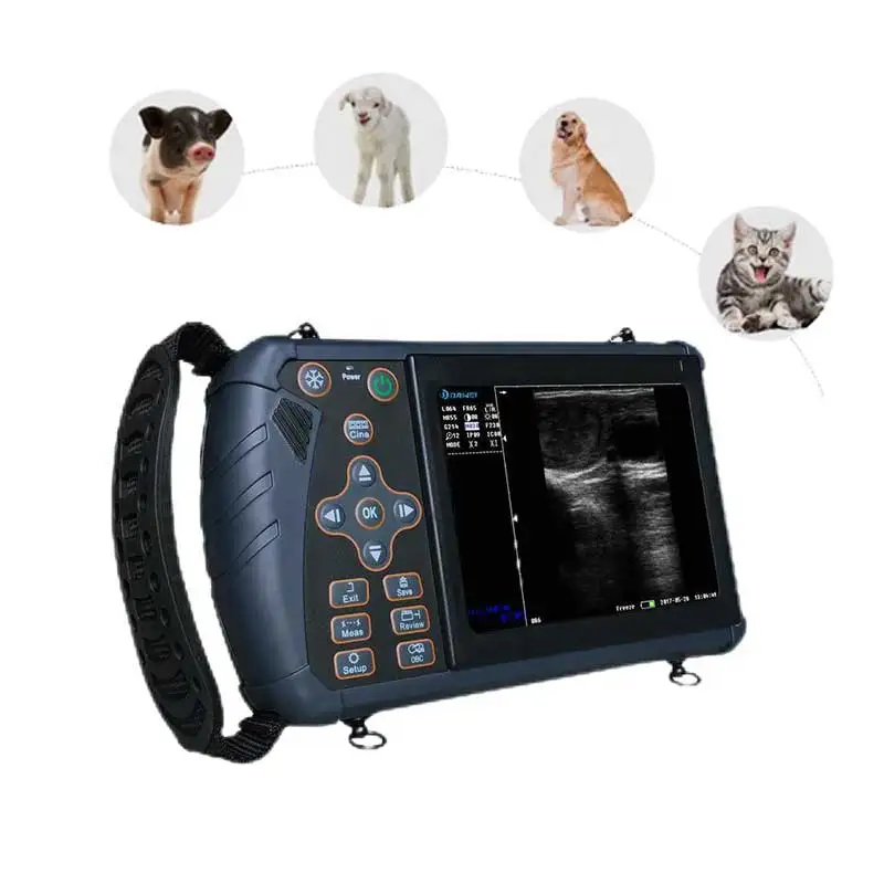 Dawei Cow Ultrasound Machine Veterinary Portable Ultrasound Scanner Price