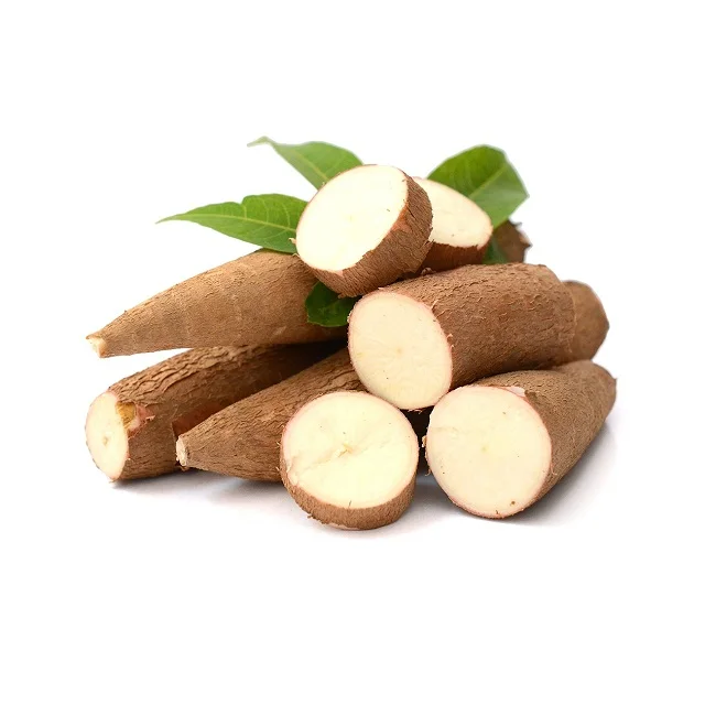 Online Buy / Order Top Quality Vegetable Fresh Costa Rica Cassava Roots With Best Quality Best Price Exports From Germany
