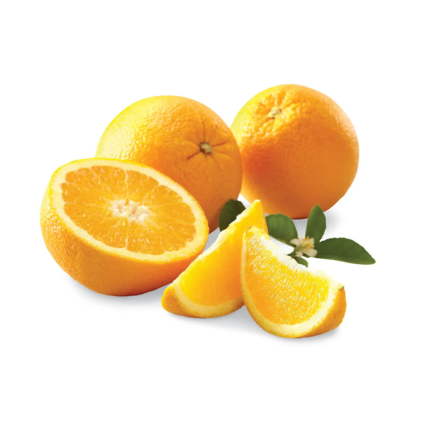 Wholesale Price Fresh Navel Orange Navel Orange for Sale