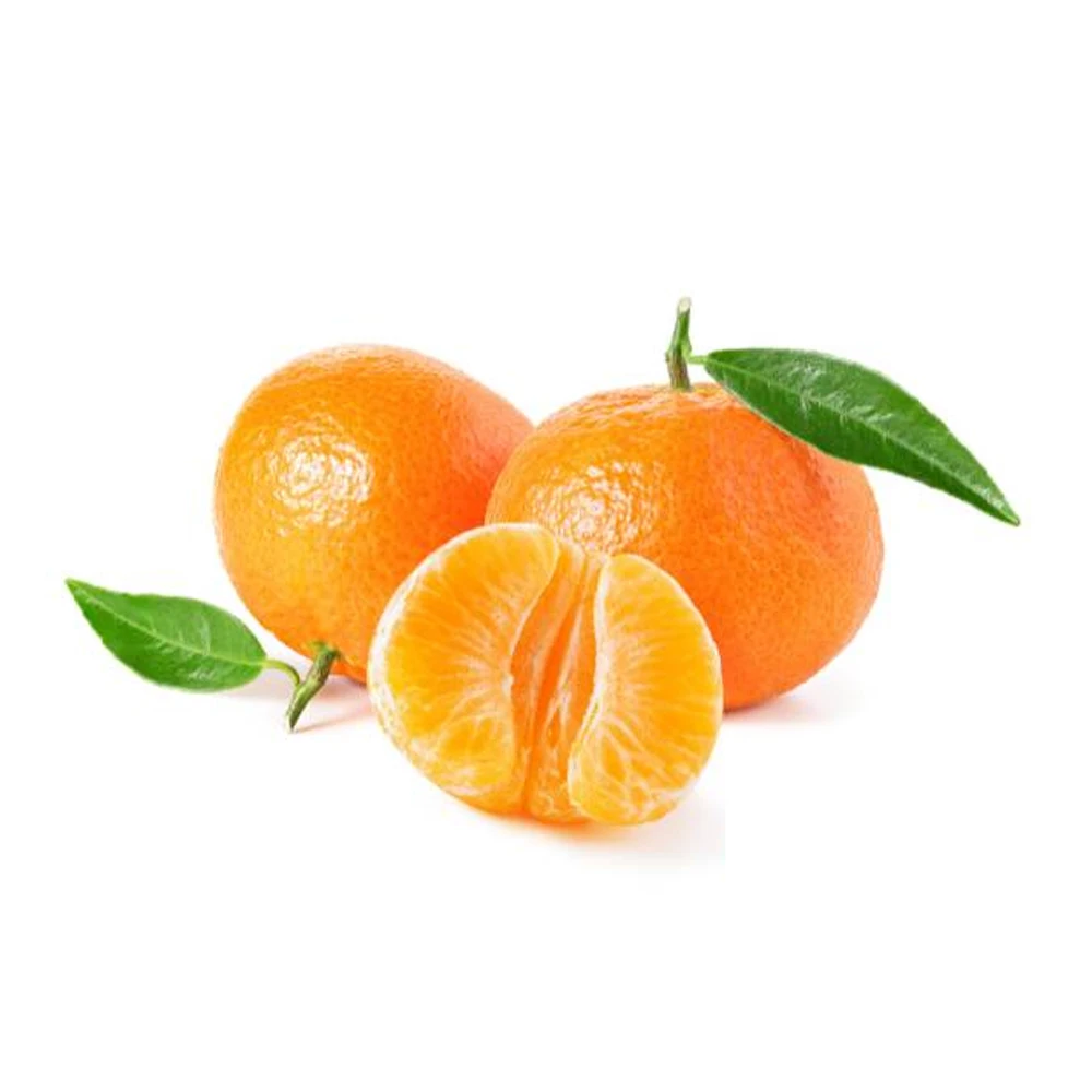 High Quality Natural Fresh Citrus Orange Fruit Fresh Mandarin Sweet Oranges From Egypt