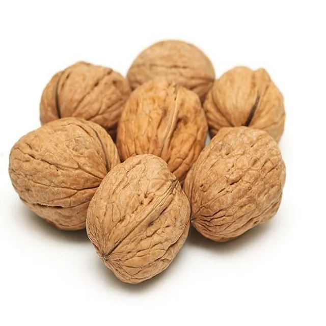 Best Price Hot Sale Natural Raw Walnuts In Shell Healthy Organic Walnut Nuts High Quality Dried Wholesale Buy For Sale