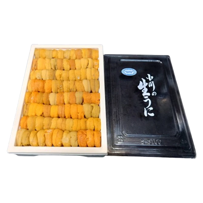 Exquisite Fresh Sea Urchin Japanese Wholesale Seafood Supplier