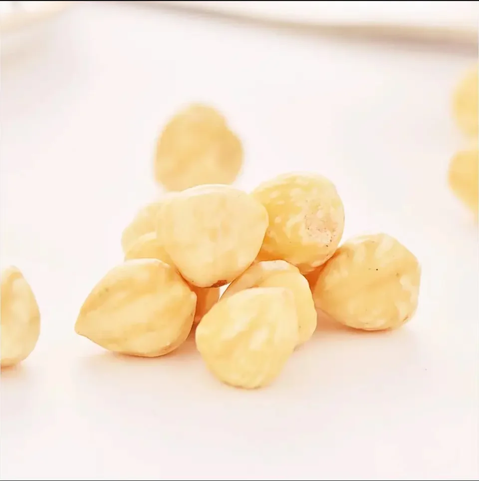 High Quality Hazelnuts From China Best Hazelnut Wholesale Price