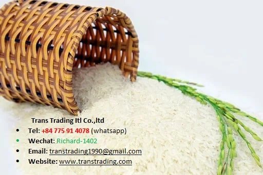 Storage Type Customized Packaging Glutinous paddy rice Vietnamese Long Grain Jasmine White Rice from Vietnam