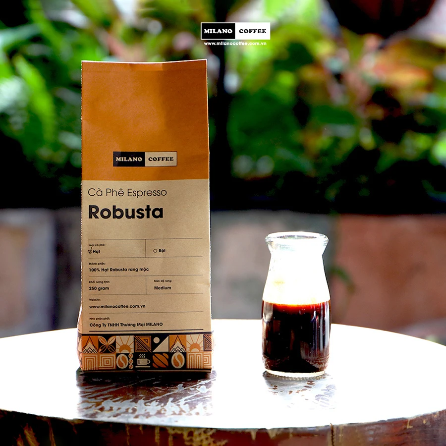 Wholesale Medium Roasted Robusta Espresso Coffee Beans For Daily Drink Custom Package Orders Produced In Vietnam