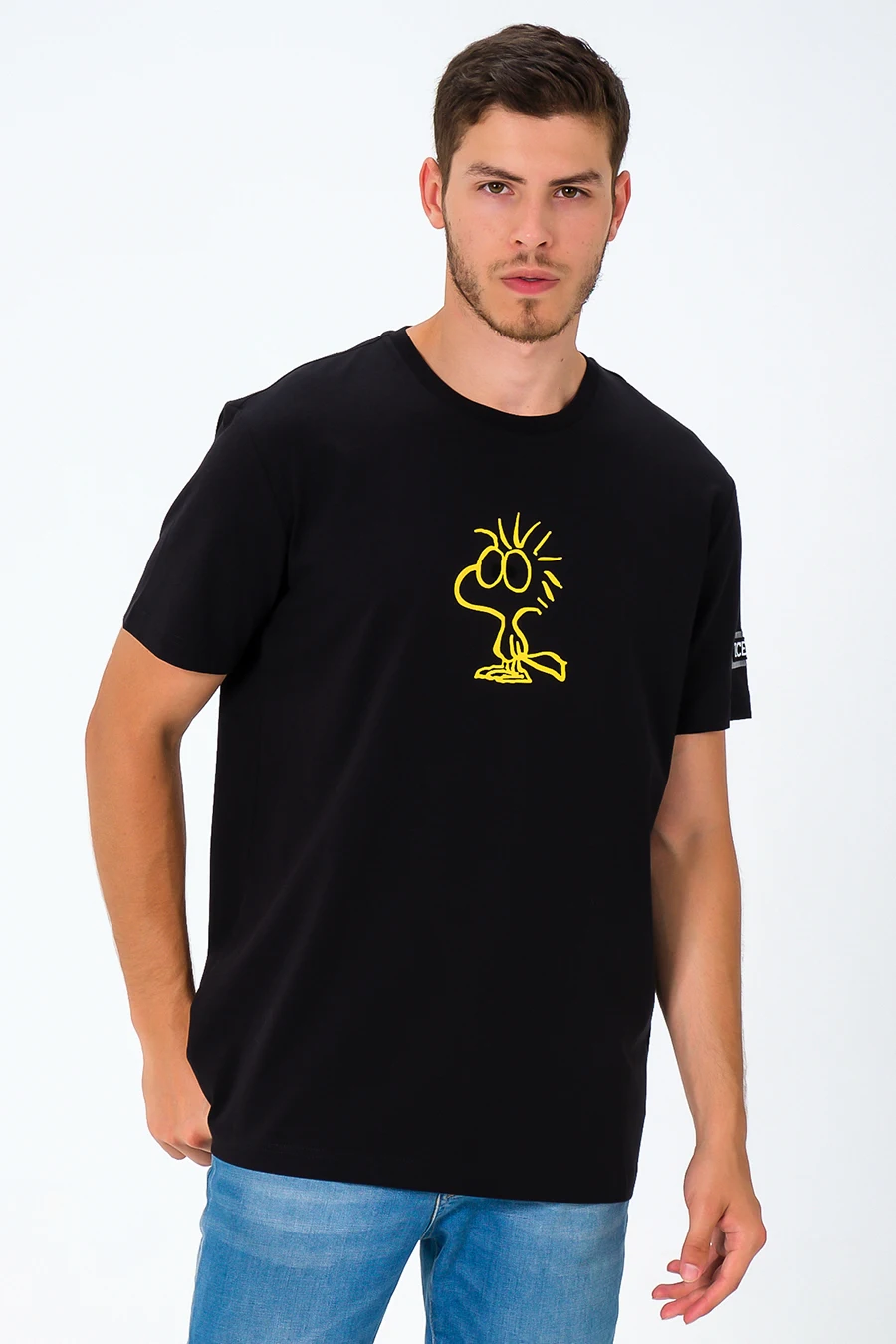 ICEBERG Original T-shirt New Reslot, wholesale FREEZEMAX X PEANUTS Men Graphic T-shirt product of Turkey