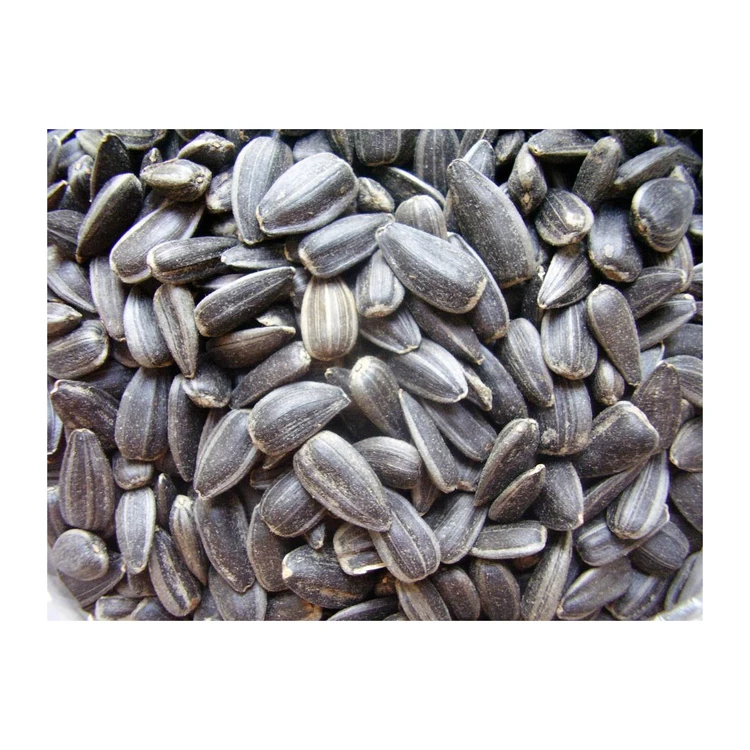Top quality sunflower seeds 361 sunflower seeds kernels