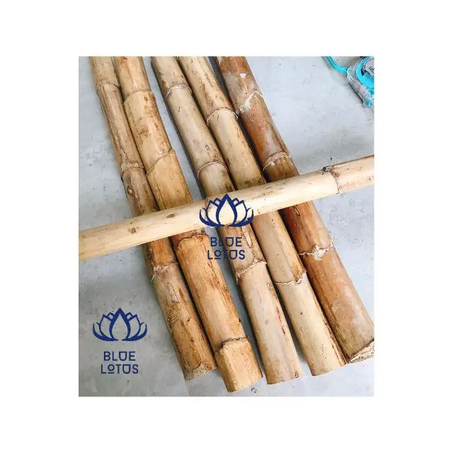 Vietnam Rattan Bamboo Stick Cane Raw Material