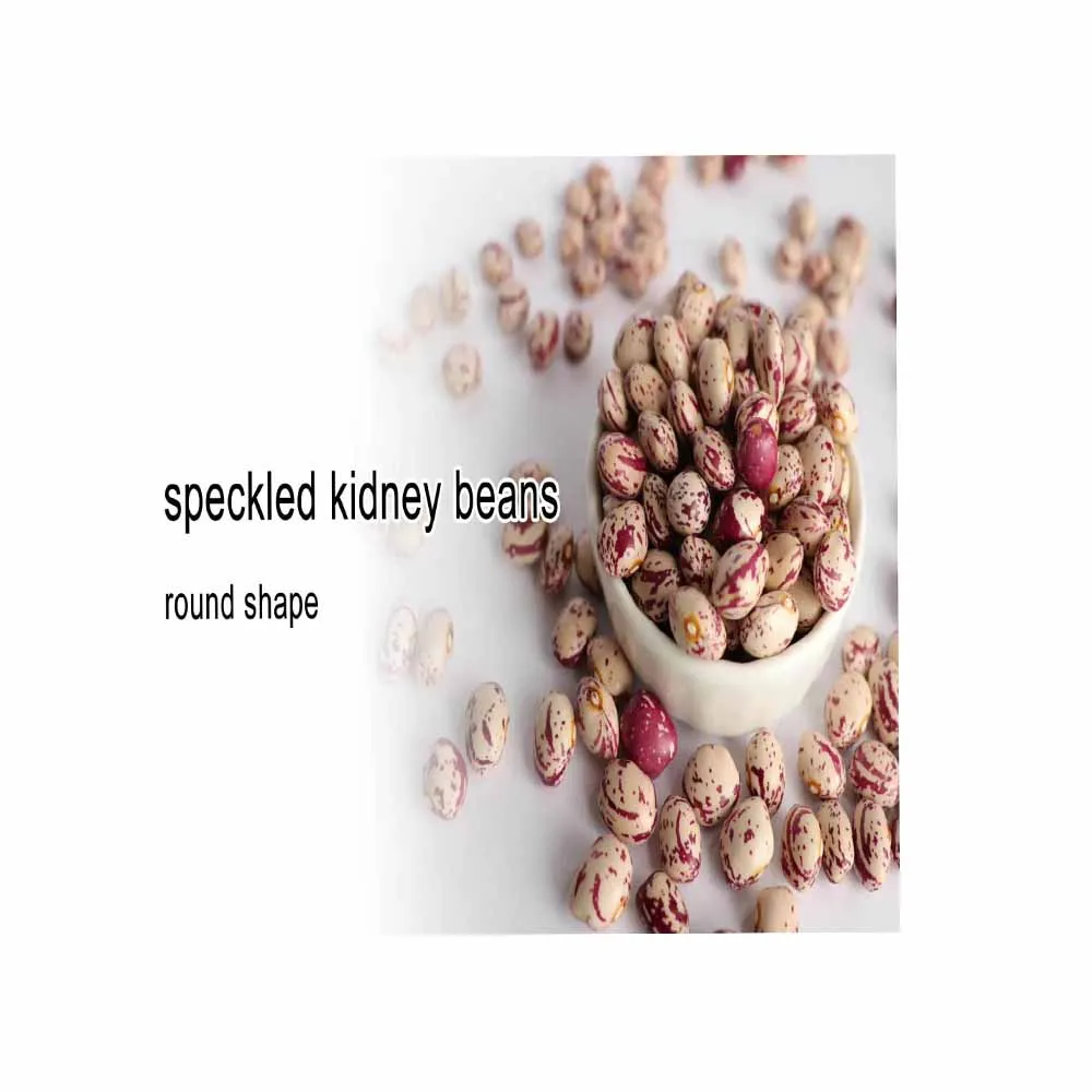Long Shape Pinto Beans(LSKB)--2019 New Harves