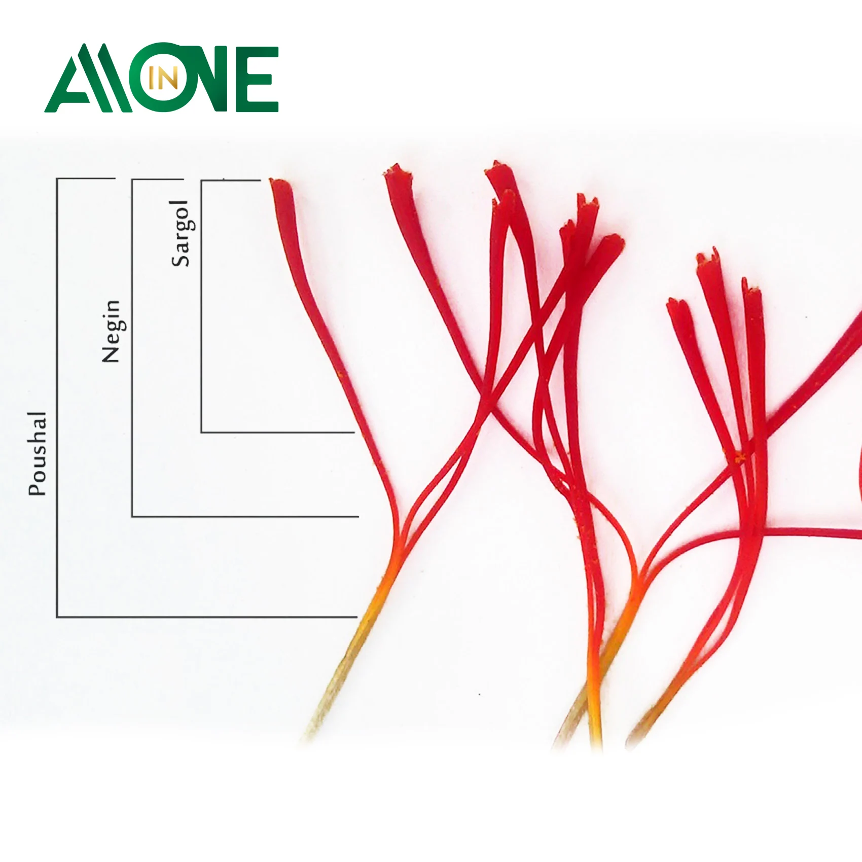 Pure Natural High Quality Saffron Sargol All Red Saffron Wholesale