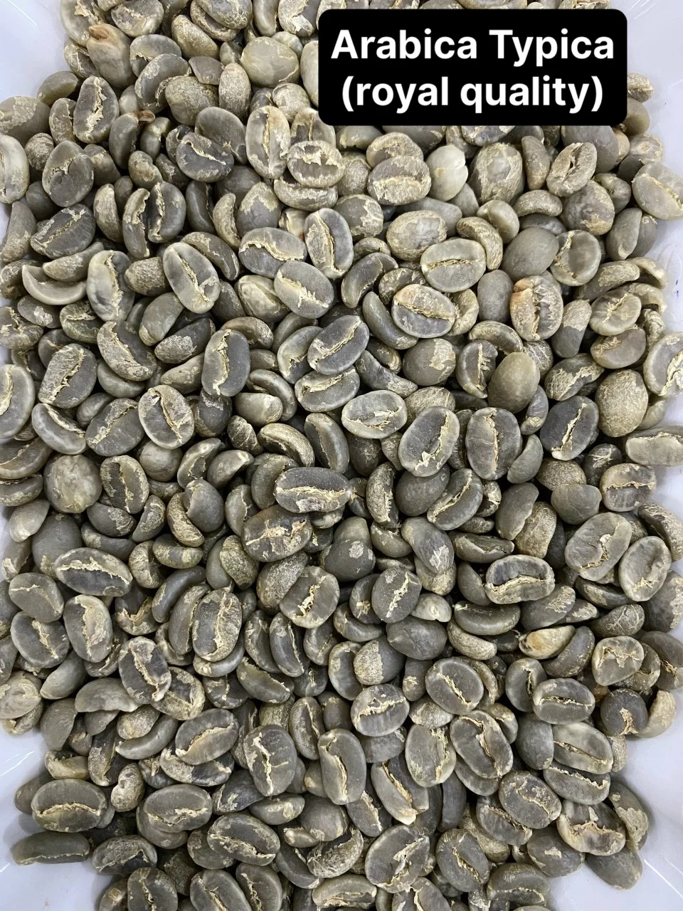 The best coffee beans in the world Arabica Type Viet Nam green coffee beans robusta - weight loss drink