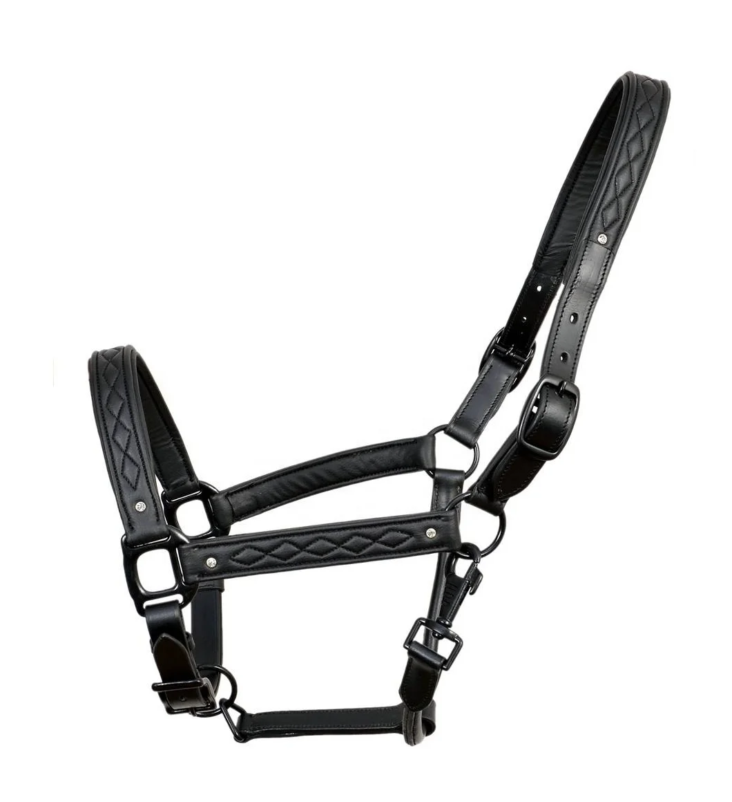 Best Quality Wholesale Price Custom Horse Leather Halter For Outdoor Sports Available For Wholesaling