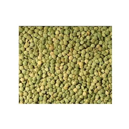 Hot Selling Price Canadian Whole Green Lentils Dry Organic Green Lentils in Bulk