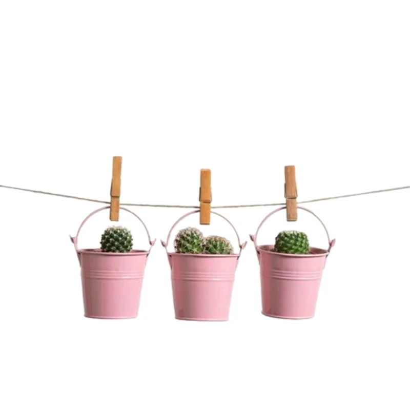 New Arrival Metal Hanging Round Planter With Handle Pot Algae Copper usage for Living Room Garden Decorations Home & Restaurants