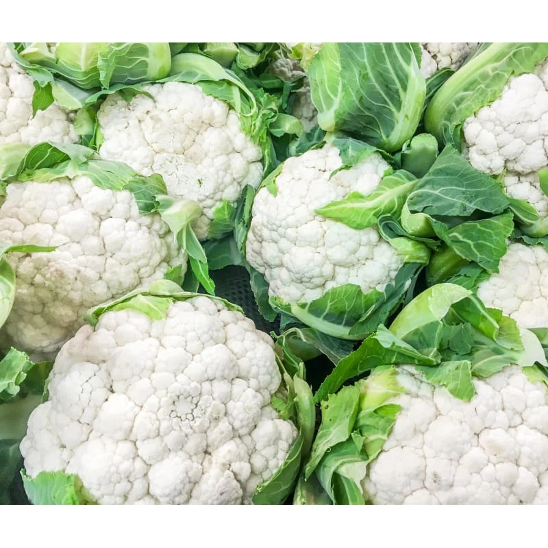 Fresh White Cauliflower for Sale