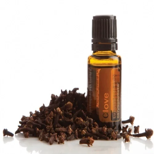 Therapeutic grade Clove essential oil Manufacturer, Tanzanian Organic Clove leaf oil Clove bud oil Bulk price Kg