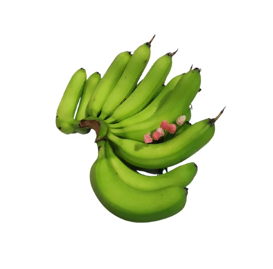 Fresh Natural Sweet Top Supplier Customized Hot Selling Fresh Banana Organic Grade A456 Cavendish Banana Cheap Price Low MOQ
