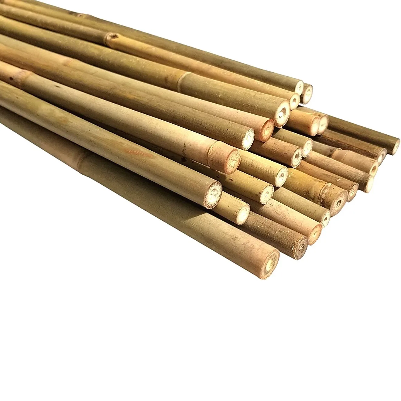 Solid treated fumigated natural rattan bamboo cane cgardening farming construction agriculture pole stick canes