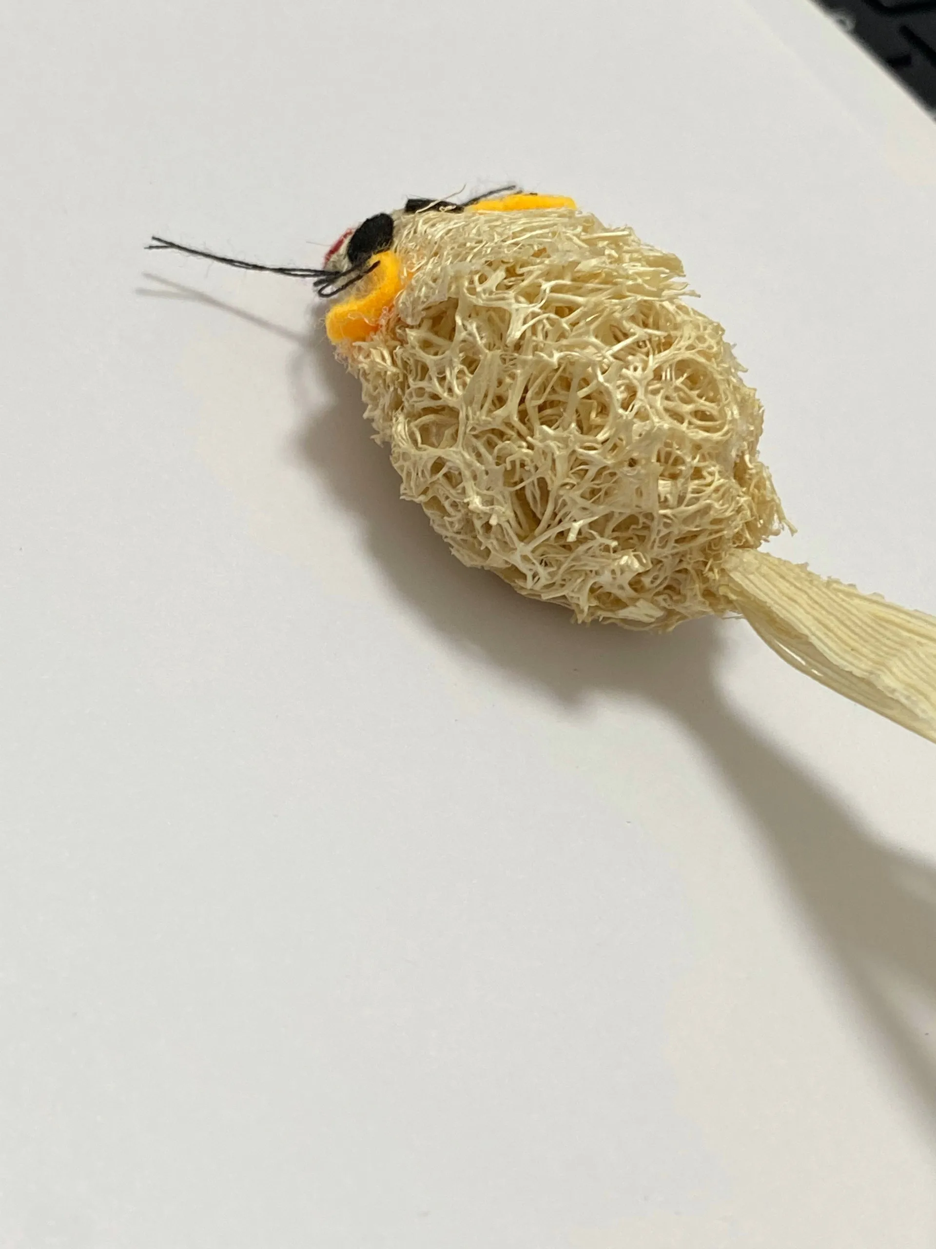 Hot Sale 2022!!! Natural Loofah Cat toys Made Of High Quality In Vietnam 100% Natural