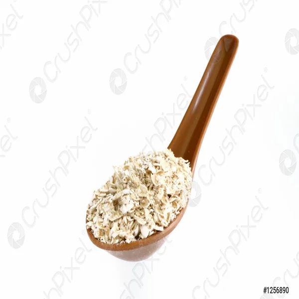 Organic high grade oat grains for sale Best price oat grains bulk purchase
