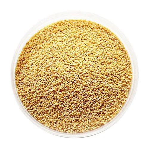 Healthy Nutritious Dried  White and Yellow  Millet Seed For Feeding