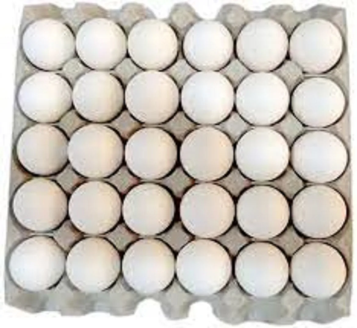 Brown and White Fresh Organic Table Chicken Eggs Small Medium Large at Factory Price