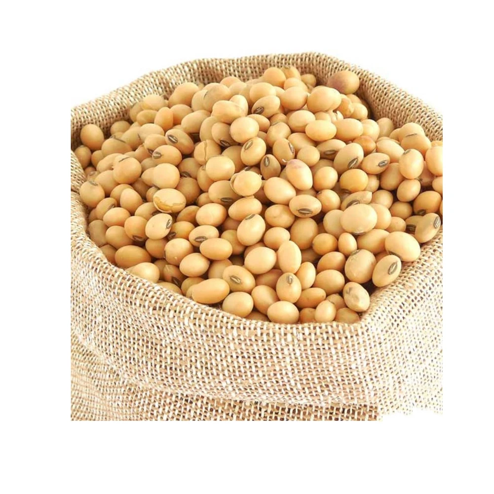 Bulk price hot sale New crop GMO and Non GMO Soyabean/Soybean ready