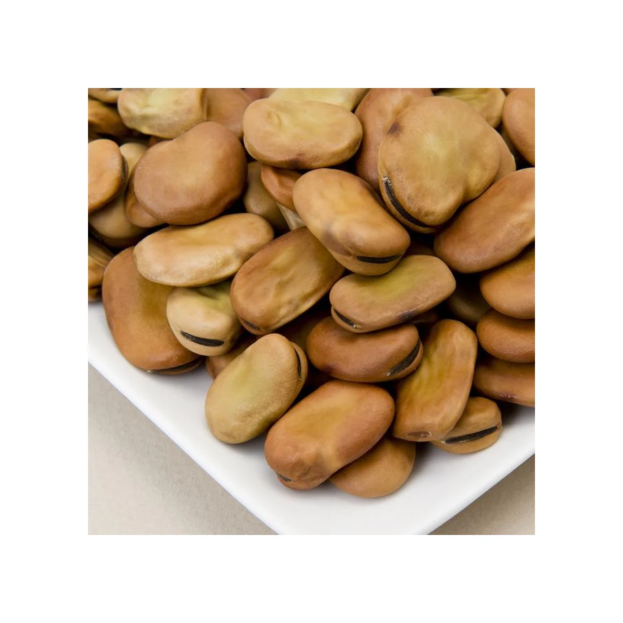 High Quality Broad Beans/ Fava Beans With Competitive