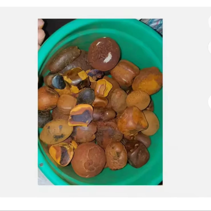 Competitive Prices Natural Pure Bovine/cow/ox Gallstones