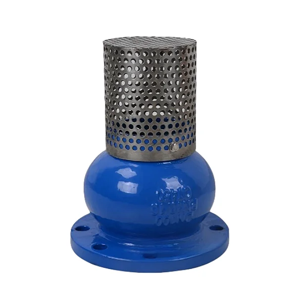 Factory price PN16 Foot Check Valve with Strainer DN50-DN150 Flange Foot Check Valve