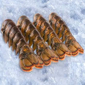 FROZEN LOBSTER / FROZEN LOBSTER TAIL / FRESH LIVE LOBSTER