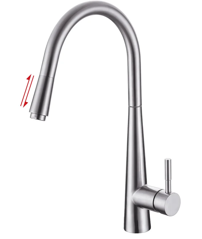 Contemporary Classic Cold Water Kitchen Faucets Sprayer Kitchen Sink Faucet Low Price