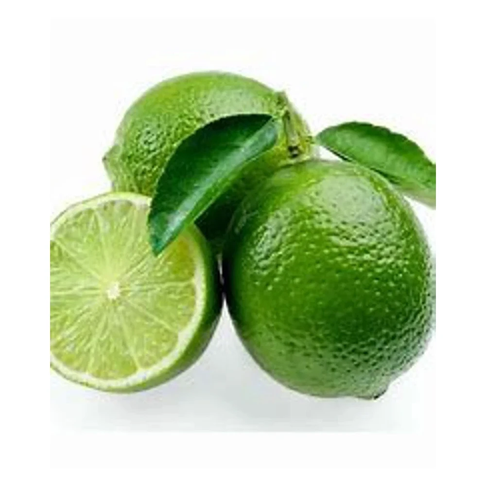 Best Quality Custom Made Wholesale fresh Limen Natural Fresh Lime