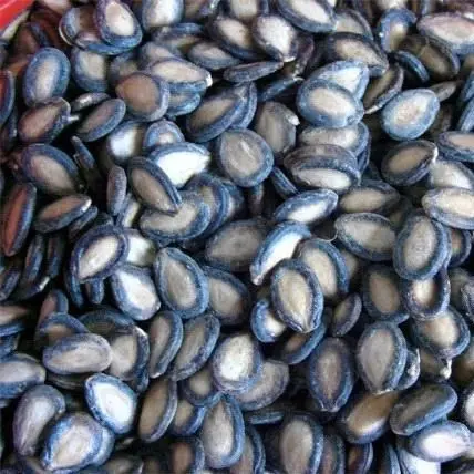 Watermelon seed kernel