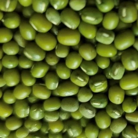 Green Mung Bean