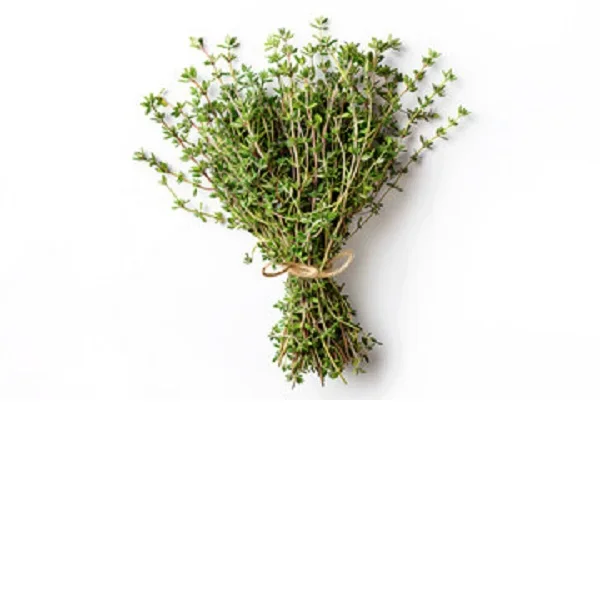 Natural Thyme Essential Oil at wholesale Price Indian Exporter of Thyme Essential Oil