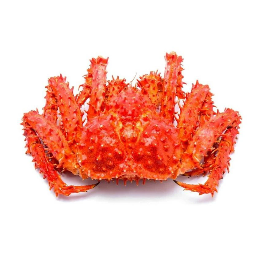 Red King Crab,Live And Frozen Red King Crab