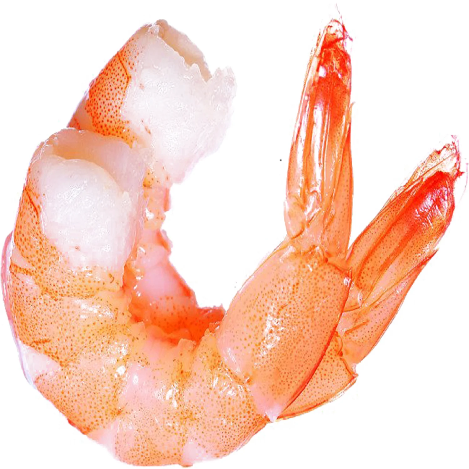 Fresh Frozen Wholesale Farm Raised Vannamei Shrimp